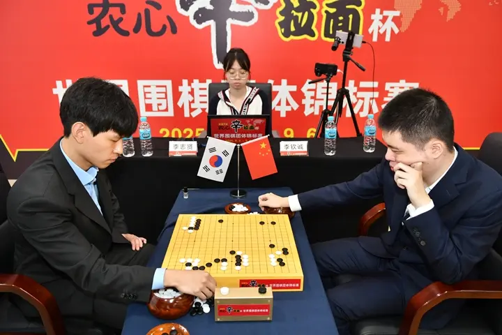 一力辽井山, 裕太芝野虎, https