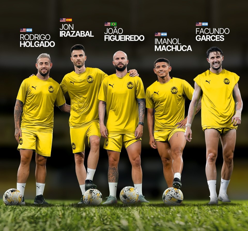 Holga, 这种可能性, Rodri