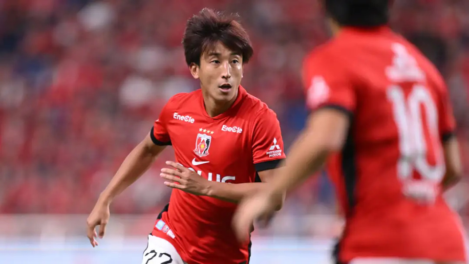 队友及横滨, pddPX, 万元